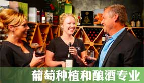 澳大利亚留学-葡萄种植和酿酒专业